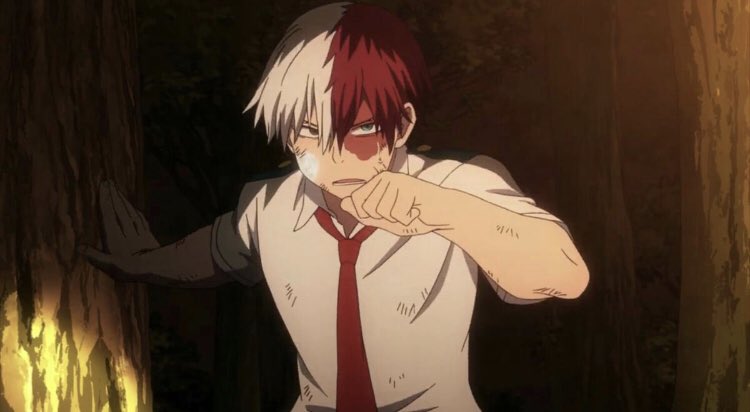 sillytouya's tweet image. did you remember to take your daily dose of loving todoroki juice ?