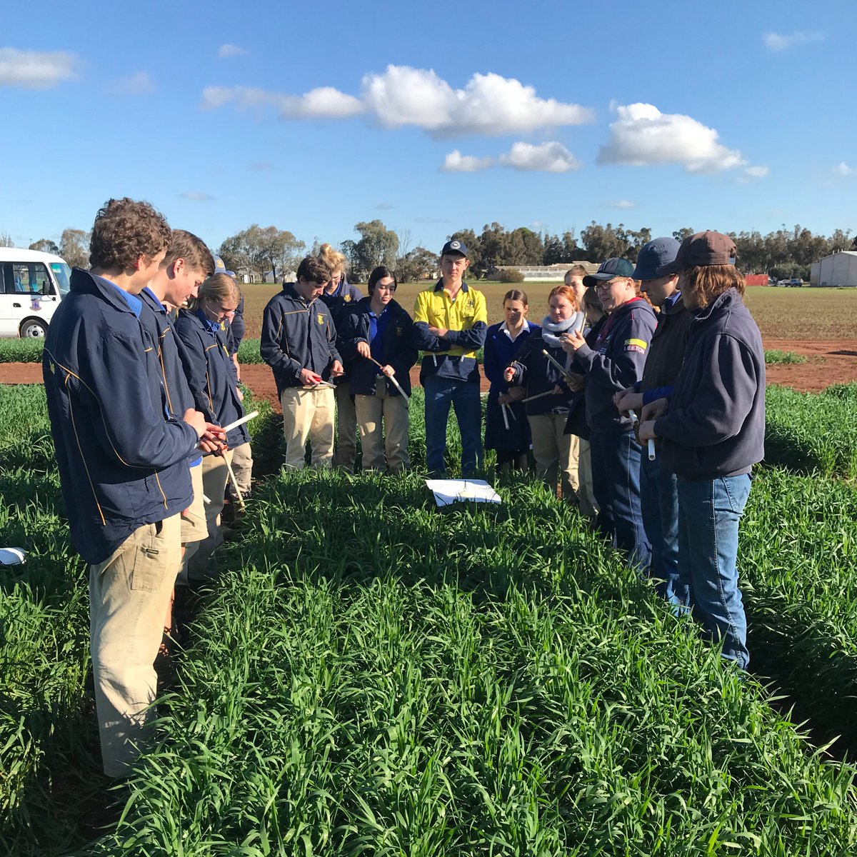 <a href="/Yanco_MEF/">Yanco MEF</a> We welcomed Yanco Agricultural High School today for early biomass cuts on their Sowing Density experiment @NSWDPI_AGRONOMY <a href="/GRDCNorth/">GRDC North</a> <a href="/theGRDC/">GRDC</a>