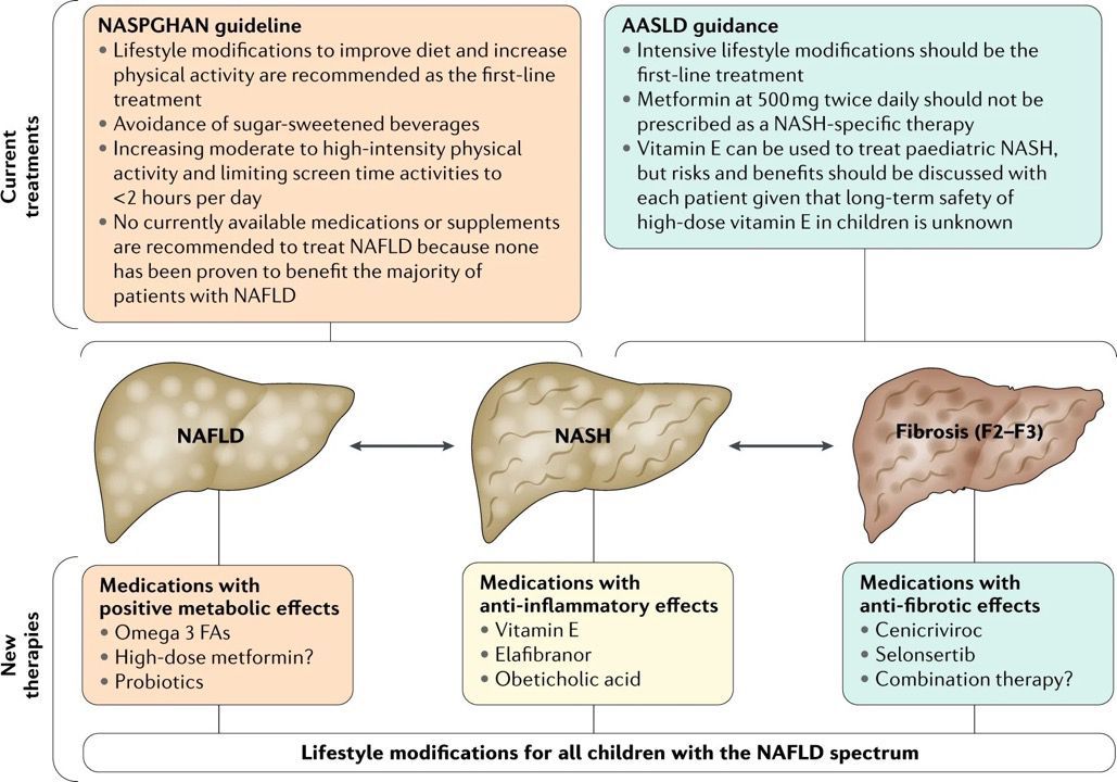 EASOobesity's tweet photo. New in @nature

#NAFLD has become the most common form of chronic liver disease in children and adolescents. This REVIEW discusses the latest knowledge of epidemiology, pathogenesis &amp; management @AbdTahrani 

#obesity
https://t.co/fneHm9msnI https://t.co/gBGlg3jnGJ