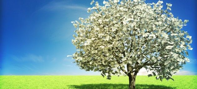 SteffOpp's tweet image. NEW JOB: help @RSPBScience to find the #MagicMoneyTree so we can pay scientists (like me!) saving nature: buff.ly/315cj24