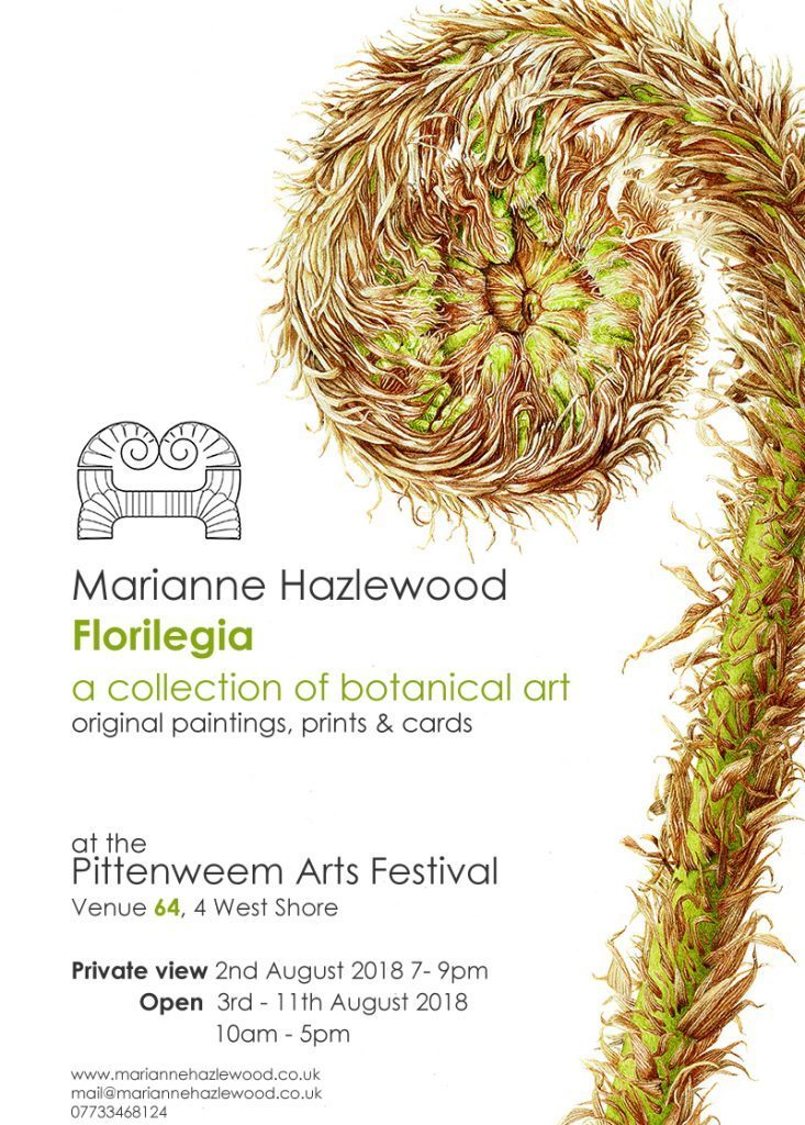 thessbaorg's tweet photo. Member Marianne Hazlewood is exhibiting at Pittenweem 2019 https://t.co/qvdpIXv4ph https://t.co/H3vsIfuI7h