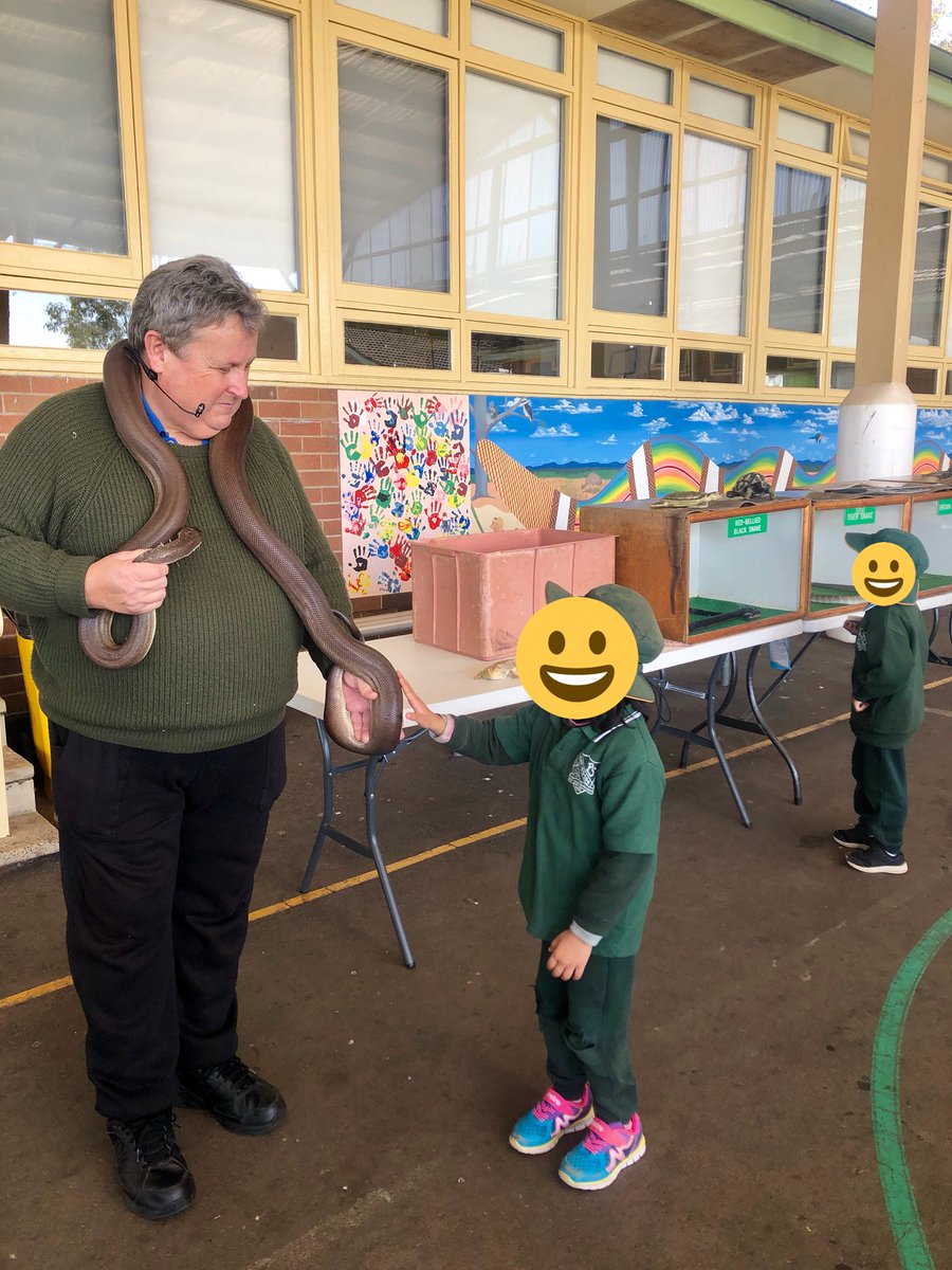 Students at Leppington Public School loved getting up close and personal with snakes at Snake Tails today 🐍