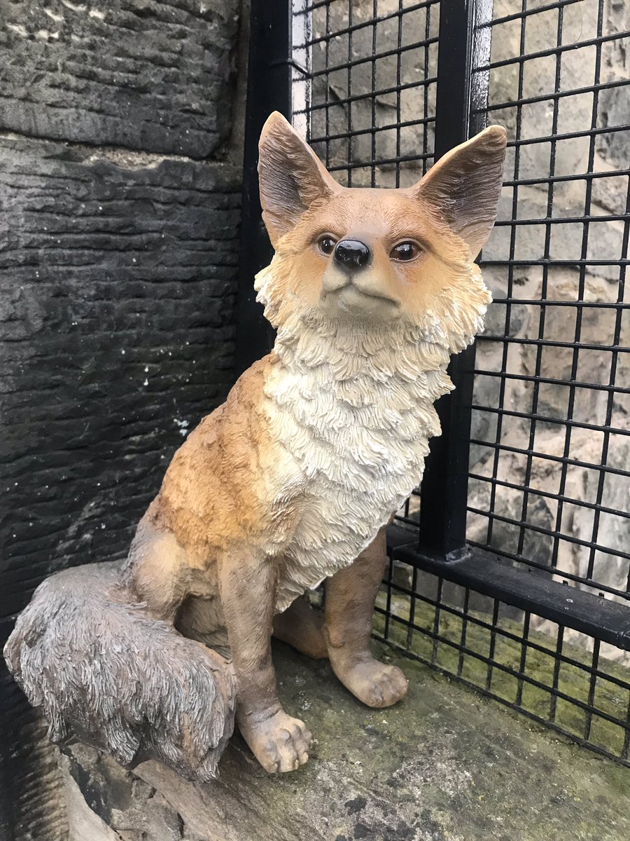 Fox & Co. Caterers tweet media