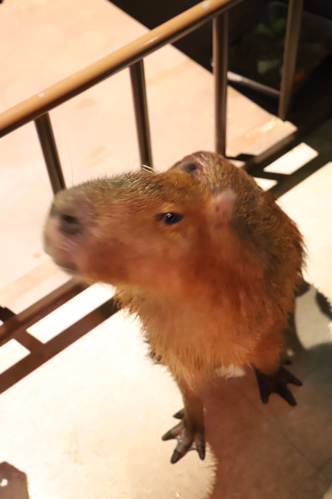 男のコ Twitter Search Twitter