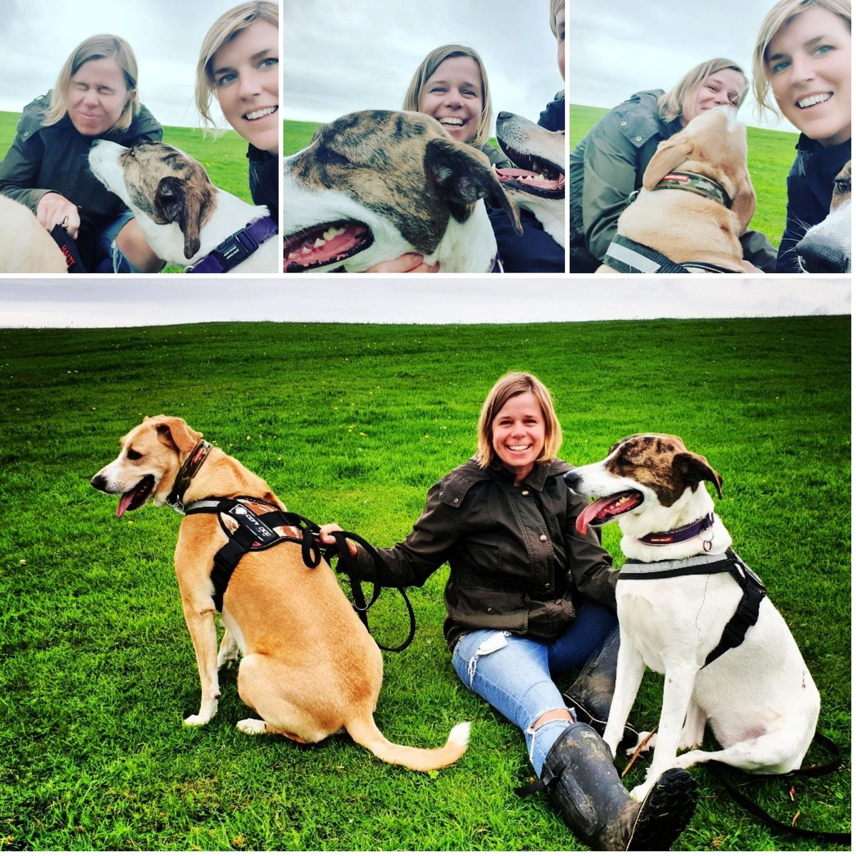 cherylgalbraith's tweet photo. Auntie sonya hangs with the Russians #russainrascals #russianrascaltwins #sochirescue #sochidogs #adoptdontshop #sunny #patches #sunnyandpatchesadventures #megamutts #scotland #paisley #nearly6yearsold #dogselfies https://t.co/0884ZLDRyu