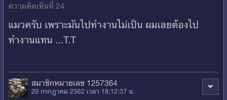 สะพายกล้องท่องโลก 📸 tweet media