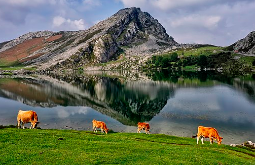 Wikimedia España tweet media