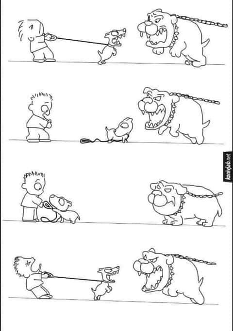 Agárrame que me lo como... 😅 😅 
#mascotaplanet #tiendadeanimales #todoloquetumascotanecesita #perros #gatos #pajaros #roedores #reptiles #peces #hurones #humor