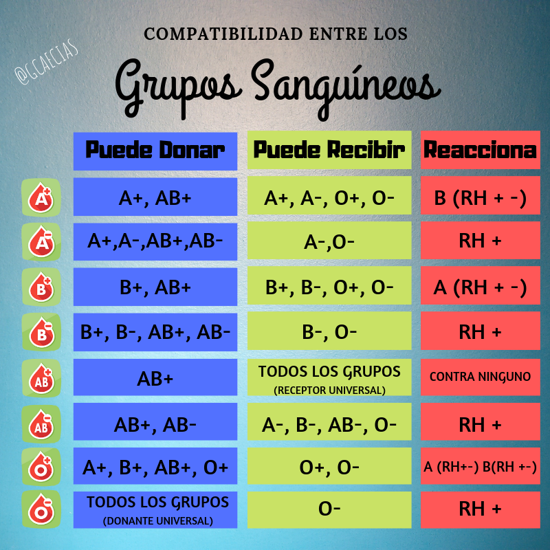 GCaecias's tweet photo. Estas son las compatibilidades entre los distintos grupos sanguíneos ( A, B, AB, O) y sus dos tipos de RH (+positivo y -negativo). 
Infórmate en tu Centro de Salud más cercano si deseas donar sangre.

#grupossanguineos #sangre #donarsangre #huc #hospitallacandelaria https://t.co/ZvgMXBiXab