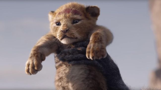 Nonton Film  The Lion  King  2021 Full  Movie  Subtitle 