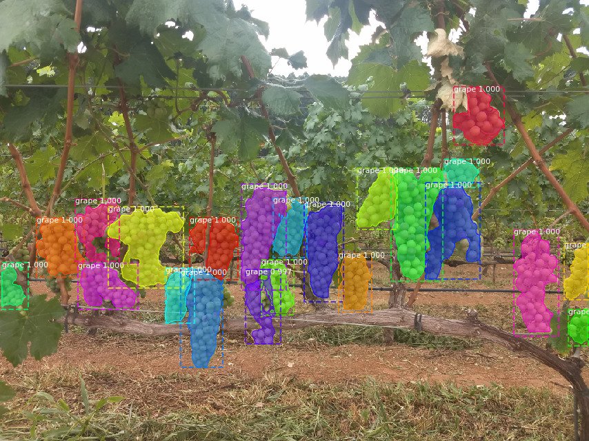 arxiv_org's tweet photo. Grape detection, segmentation and tracking using deep neural networks and three-dimension... https://t.co/h0QXbG8o8I https://t.co/CZSjf0DT4l
