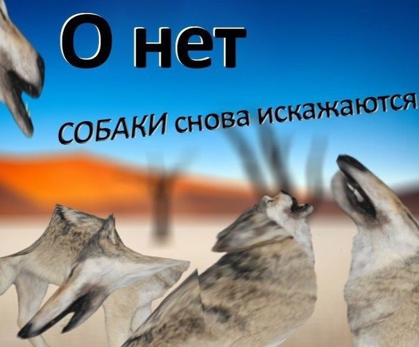 EAys49gXsAAY2mb?format=jpg&name=small