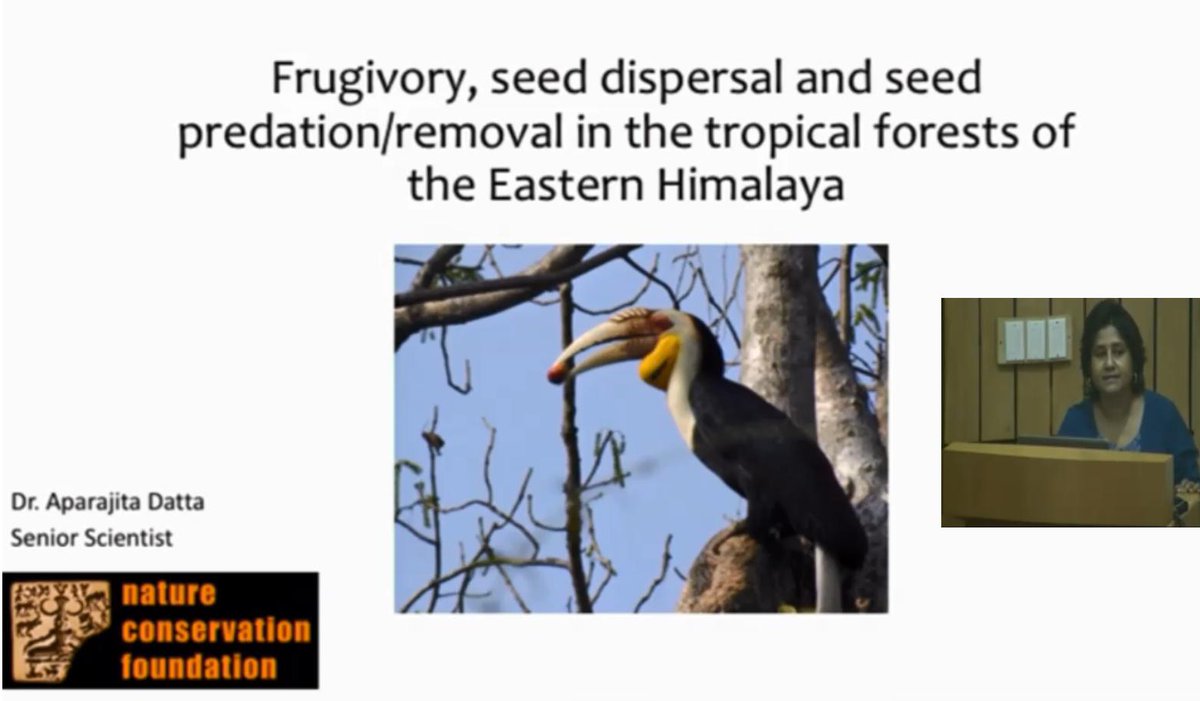 Next talk of #CElectureseries is by Dr. Aparajita Dutta on 'frugivory, seed dispersal & seed predation....... Eastern Himalaya'. Date-6th August at 10:30am Place- 'Scenic Bangalore' facebook page. Live interactive session will start from 11:30am through facebook live