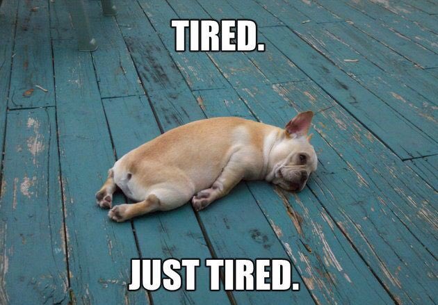 Quand tu veux profiter de tes #vacances pour te reposer mais que tu es toujours aussi crevé😅 <a href="/MUUDANA_/">MUUDANA</a> vous souhaite de bonnes vacances sans excès😉 #holiday #mood #ethicalfashion