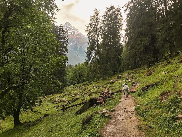 AllAboutSalil's tweet photo. And the adventure begins here!
_______________________________________________ .
.
.
.
.
.
.
.
.
.
.
#Instagood #Photooftheday #photography #travel #traveler #journey #instatravel #wanderlust #himachali_insta_shoutout #wandering #discover #mountains #ins… https://t.co/J9ExDXWf2E https://t.co/Byk0cyLkVi