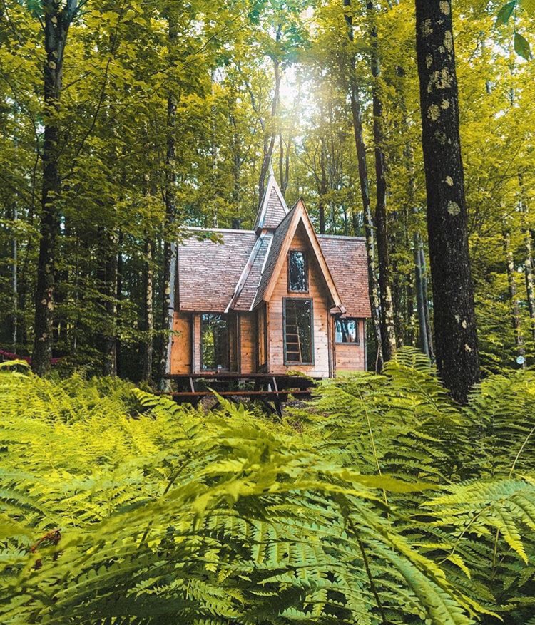 база отдыха усадьба лес екатеринбург. усадьба и лес. старинный домик в лесу. поместье хадсон пайнс. усадьба и лес.