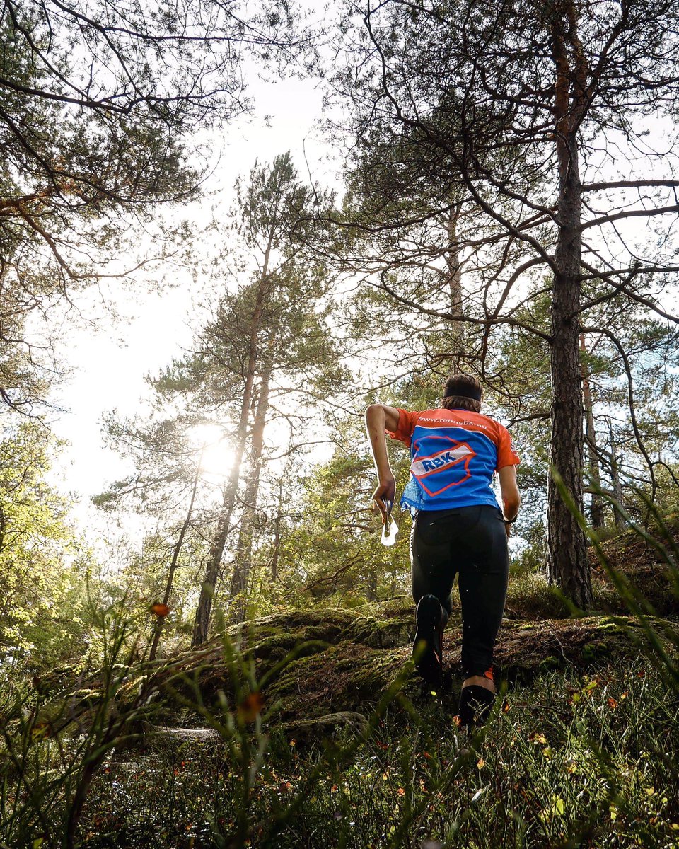 Night Hawk tweet media