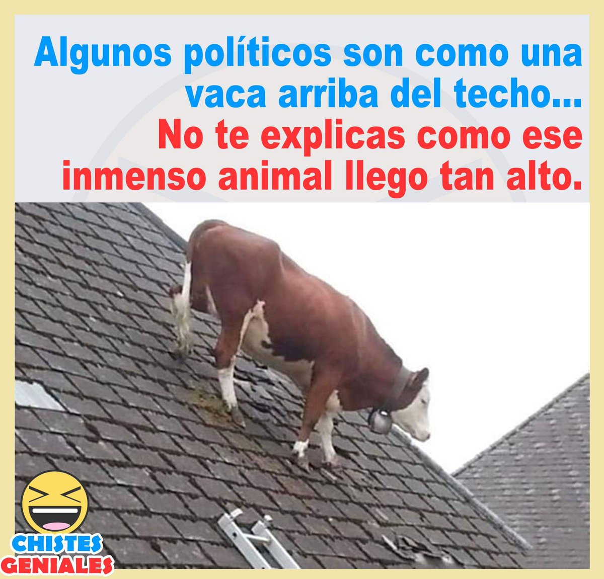 En nuestro pais hasta hace un mes