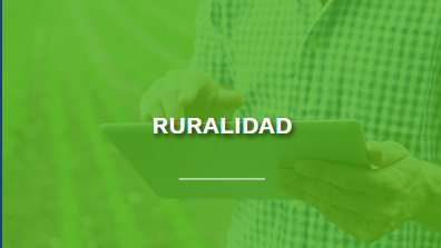 virtualeducaidp tweet picture