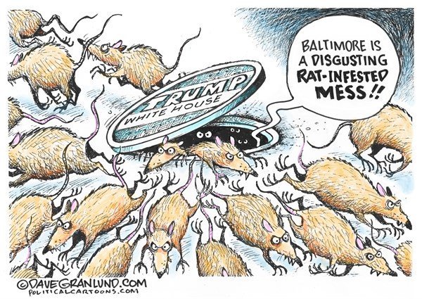 _BooScout_'s tweet image. What's really #RatInfested is the White House. #MakeAmericaVerminFreeAgain