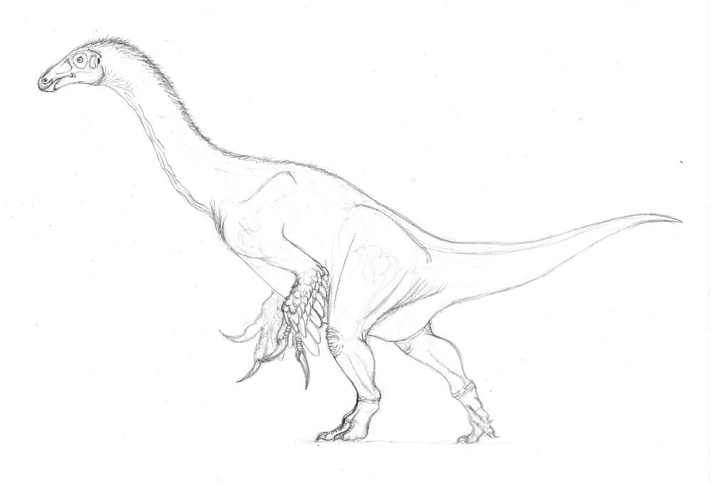 K Ta けーた ラーメンlover Twitterren Therizinosauridae 恐竜博19 にて展示された 例の2本指のテリジノサウルス類 Mpc D 100 85 チレサウルスとかカウディプテリクスも指が減ってるけど どういう適応なんだか