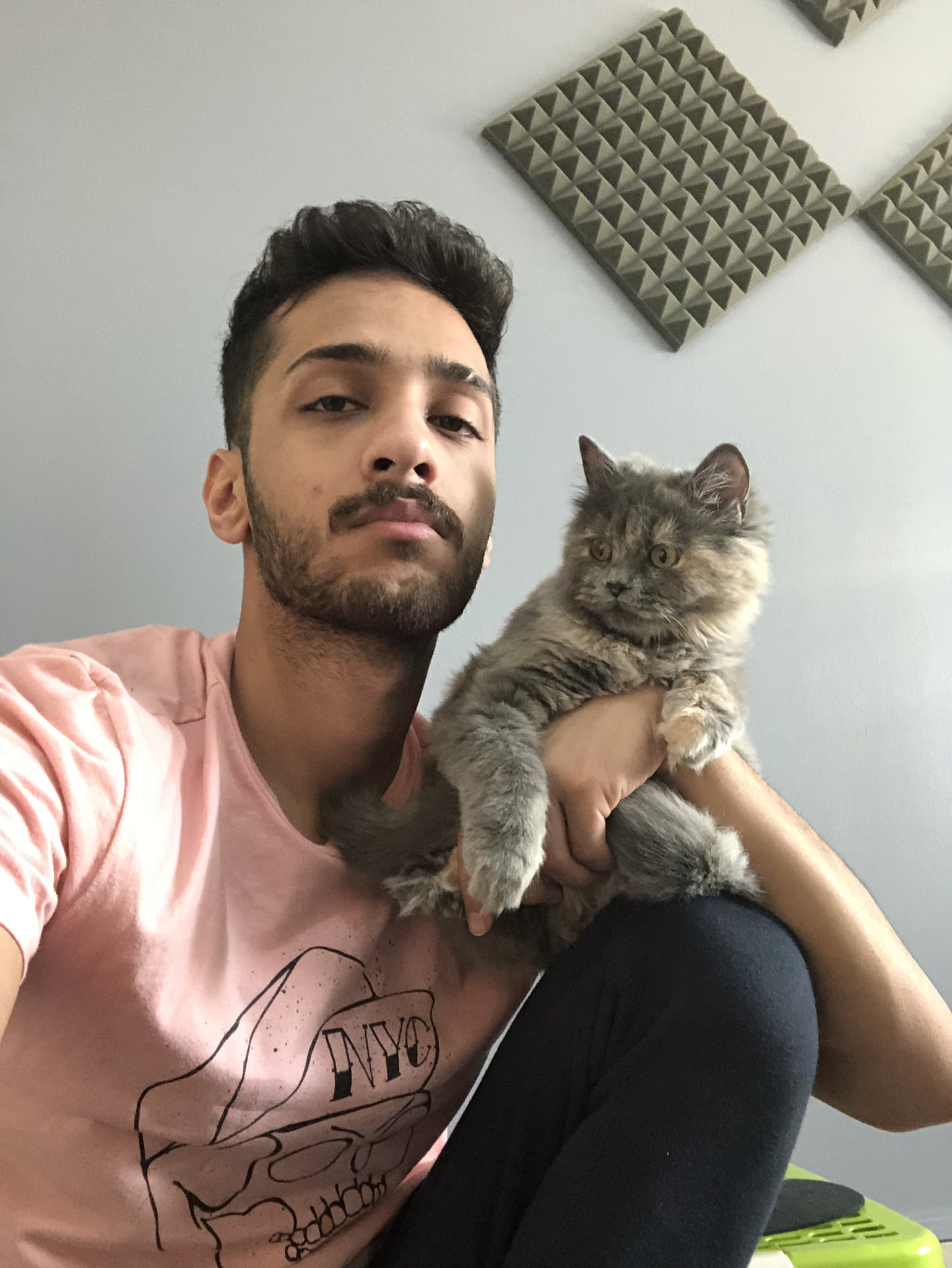 EAz5-aUX4AAnGZU.jpg:large