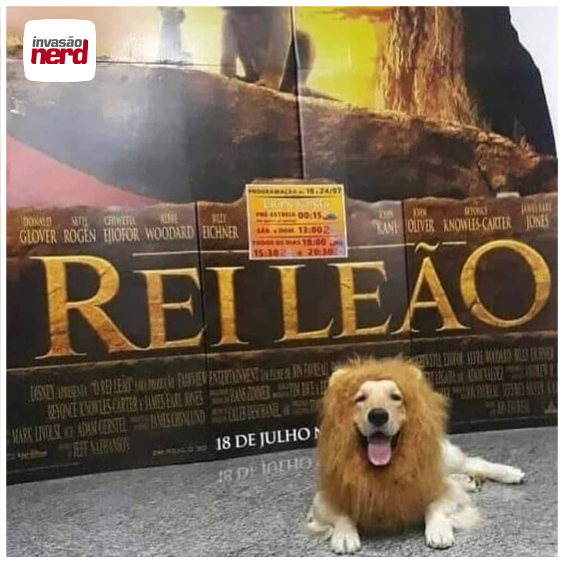 Bom diaaaaa, espero que depois dessa linda foto seu dia comece melhor (:

#reileao #disney #cachorro #nerd #golden #invasaonerd