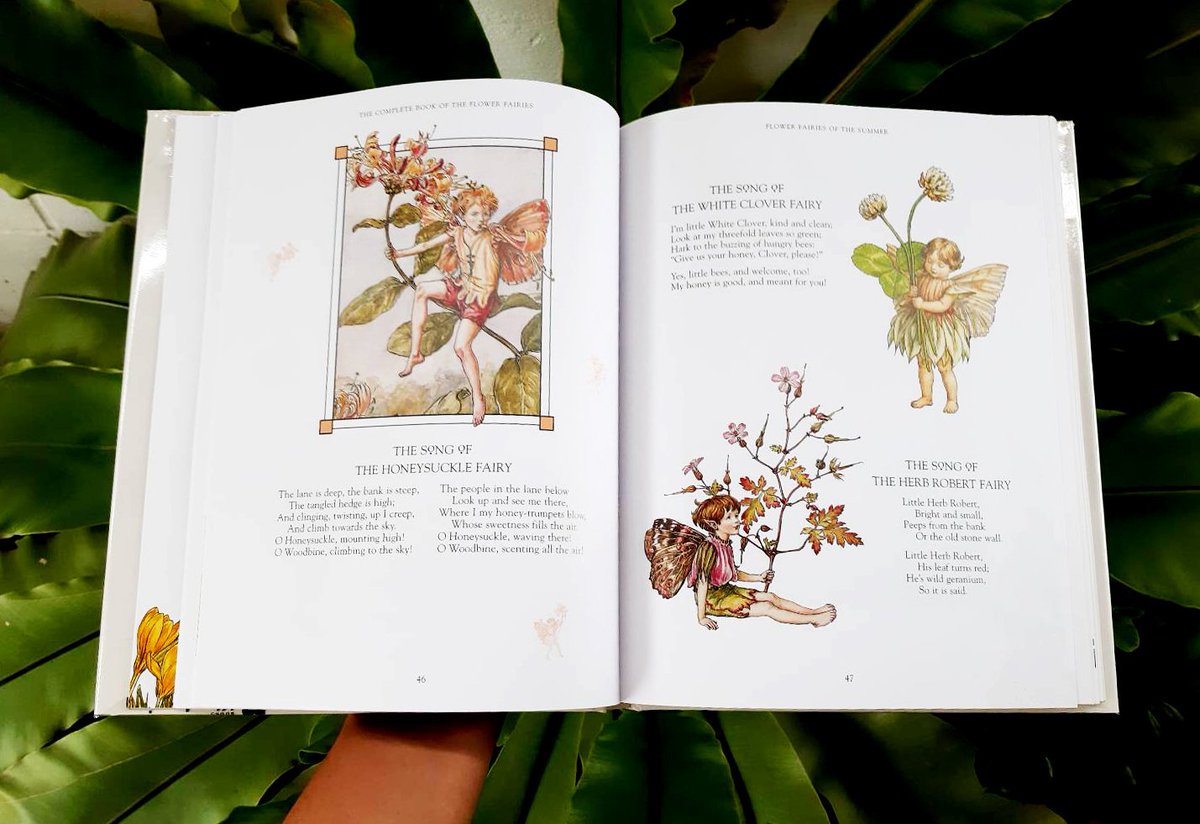 *รีวิว* อีกเล่มที่ค้นพบที่คิโนะคือเล่มนี้ค่ะ The Complete Book of the Flower Fairies เนื้อหาไม่มีอะไรมากค่ะ เป็นหนังสือภาพประกอบคำกลอนสวยๆเกี่ยวกับแฟร์รี่พืชที่ผู้เขียนออกแบบไว้ ในหนังสือแบ่งแฟร์รี่ออกเป็นฤดูกาลและสถานที่ต่างๆ มีแฟร์รี่ดอกไม้ที่เราคุ้นเคยหลายคนเลย :3
