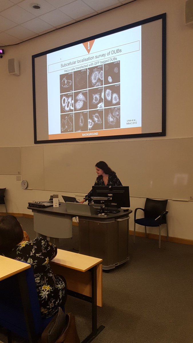 Drosophilosopher🔬💊 (@hammedbadmos) on Twitter photo #mbttseminar talk by Jane Jardine from Clague Lab <a href="/livuniITM/">LivUni Institute of Translational Medicine</a> on #DUBs #mitophagy #drsomto #mbttseminar talk by Jane Jardine from Clague Lab <a href="/livuniITM/">LivUni Institute of Translational Medicine</a> on #DUBs #mitophagy #drsomto