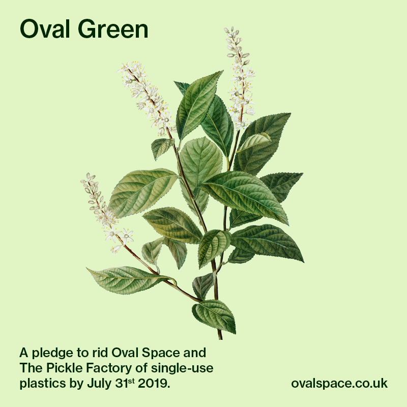 OVAL SPACE (@ovalspace) on Twitter photo Oval Space and <a href="/PickleFactoryE2/">The Pickle Factory</a> have eradicated single-use plastic. This is the first step in 'Oval Green', a new initiative aimed at reducing our environmental impact. We can't do this without your help - read our blog and let us know what you think → bit.ly/2OLrhsT Oval Space and <a href="/PickleFactoryE2/">The Pickle Factory</a> have eradicated single-use plastic. This is the first step in 'Oval Green', a new initiative aimed at reducing our environmental impact. We can't do this without your help - read our blog and let us know what you think → bit.ly/2OLrhsT