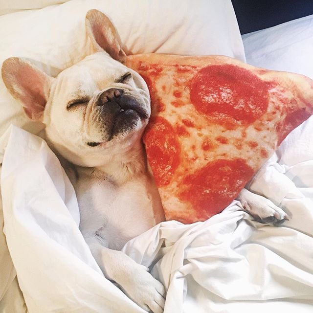 🎶🍕 Sweet dreams are made of cheese 🎶🍕