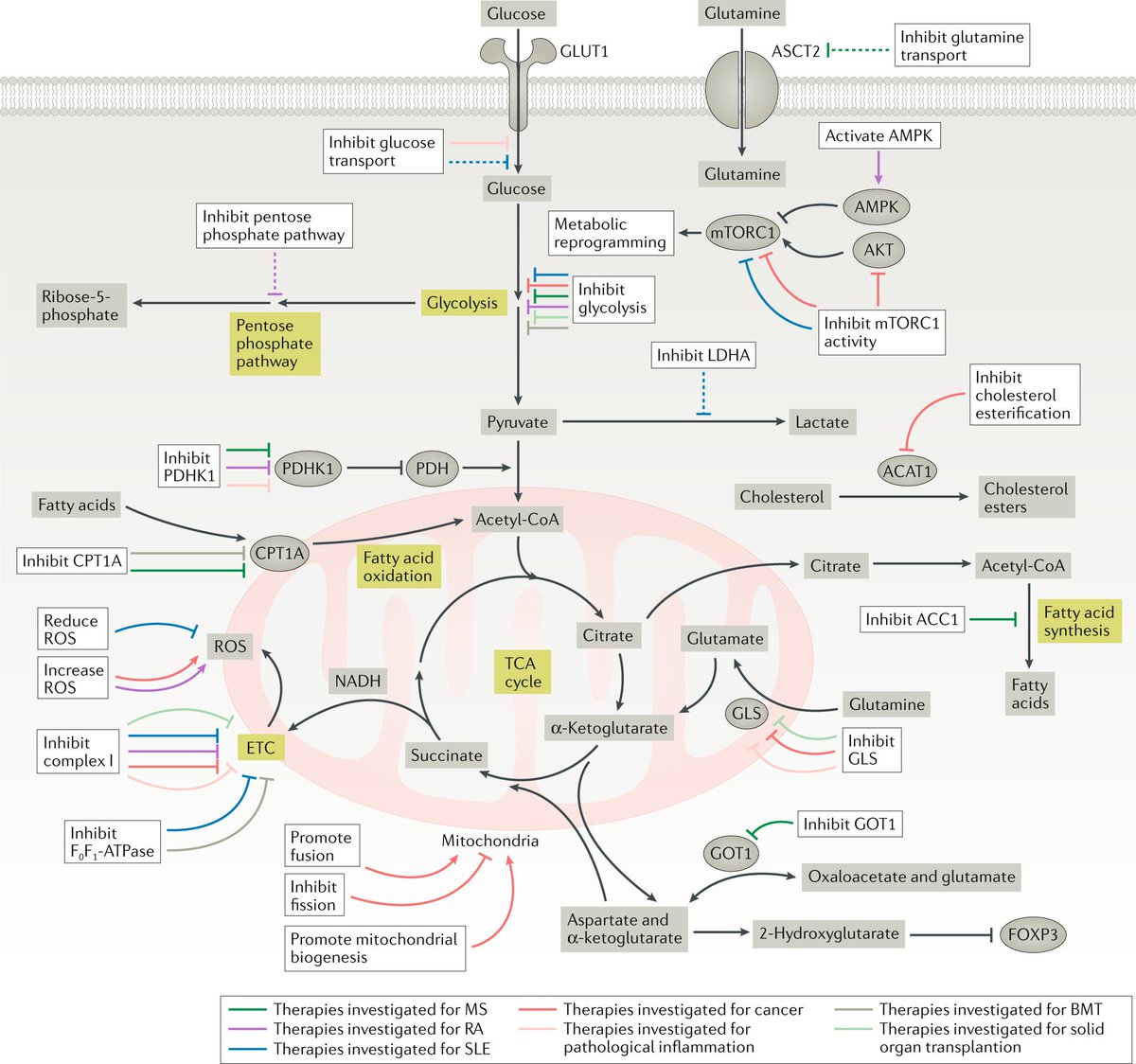 Nature Reviews Drug Discovery tweet media