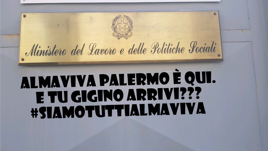 alessandra dagraca tweet media