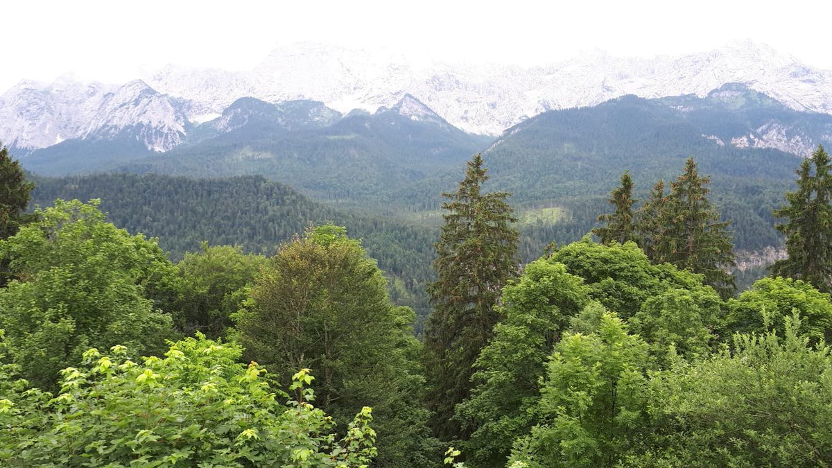 ArtPursuits's tweet photo. Some beautiful photographs from our recent Land of the Blue Rider tour to southern Bavaria from our Tour Manager Marion! https://t.co/nOoyutG9Gv