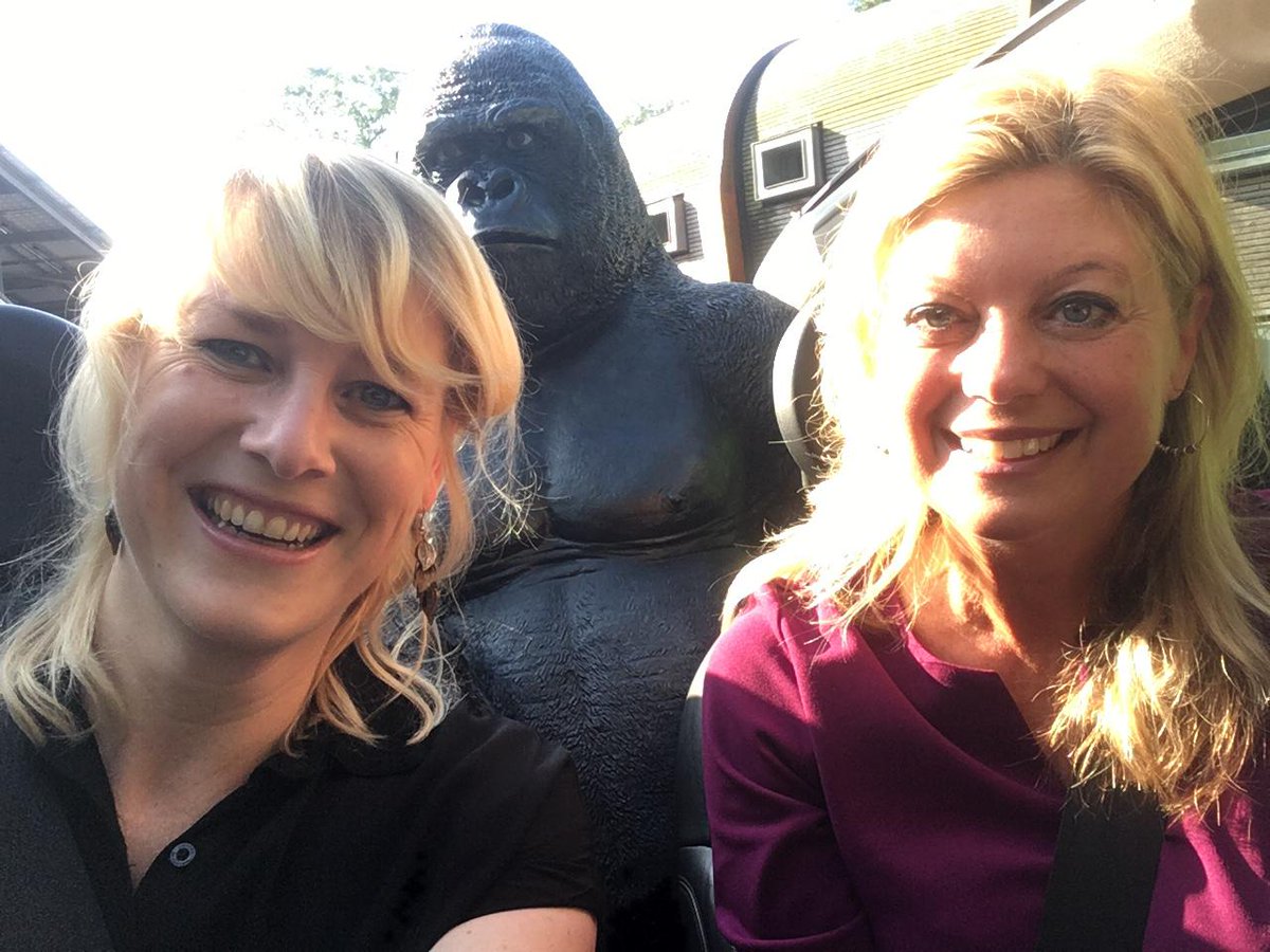 Rijden we weg bij <a href="/Apenheul/">Apenheul</a> Apenheul, zegt ineens iemand: 'Er zit een gorilla op de achterbank!' Waaat!? Wil je weten welk verhaal daar achter zit? Wordt vervolgd.... #ExpeditieApeldoorn #Apenheul #gorilla #BaoBao #Apeldoorn