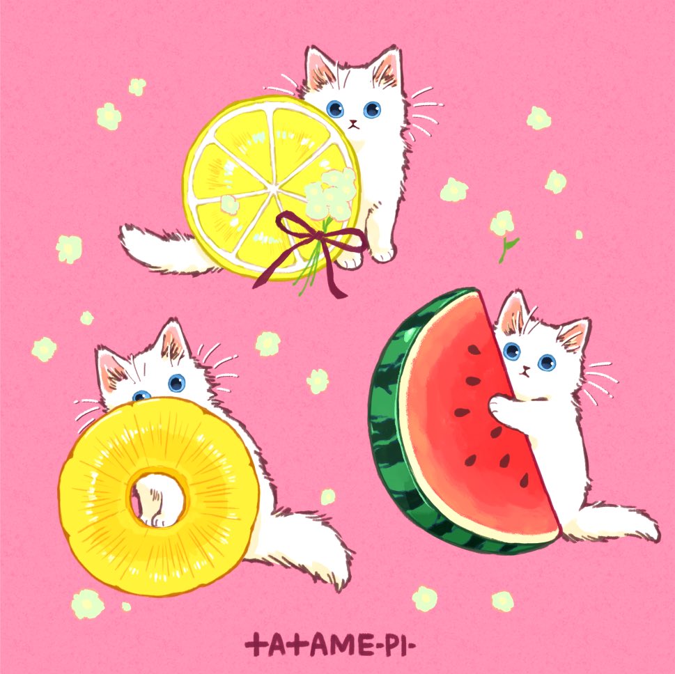 「Summer fruit ??? 」|たたメーピーのイラスト