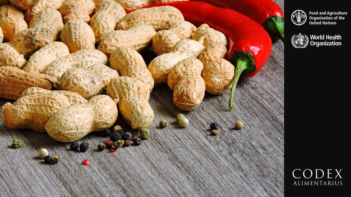 🤔 | What are the hygiene requirements in production/harvesting areas for #groundnuts? What about equipment and containers? #DYK that all handling procedures should be such as will prevent the product from becoming contaminated?

➡️ ow.ly/Zc1I50vhTa0

#FoodSafety #Peanuts