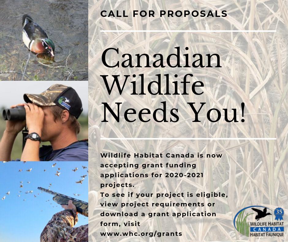 WildlifeHCanada's tweet photo. Now is the time to submit your applications!
#conservation #projects #funding #nature #wildlife #habitat #Canada
@ducanada 
@DeltaWaterfowl https://t.co/947pMm3zBP