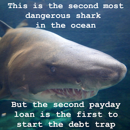 RealBankReform's tweet photo. A Tiger Shark is second deadliest shark behind the Great White. With Payday Loans, the second loan is almost as deadly as the first, since it usually jump-starts the payday debt trap #SharkWeek #StopTheDebtTrap #ProtectConsumers https://t.co/o4y4DD4hZ2