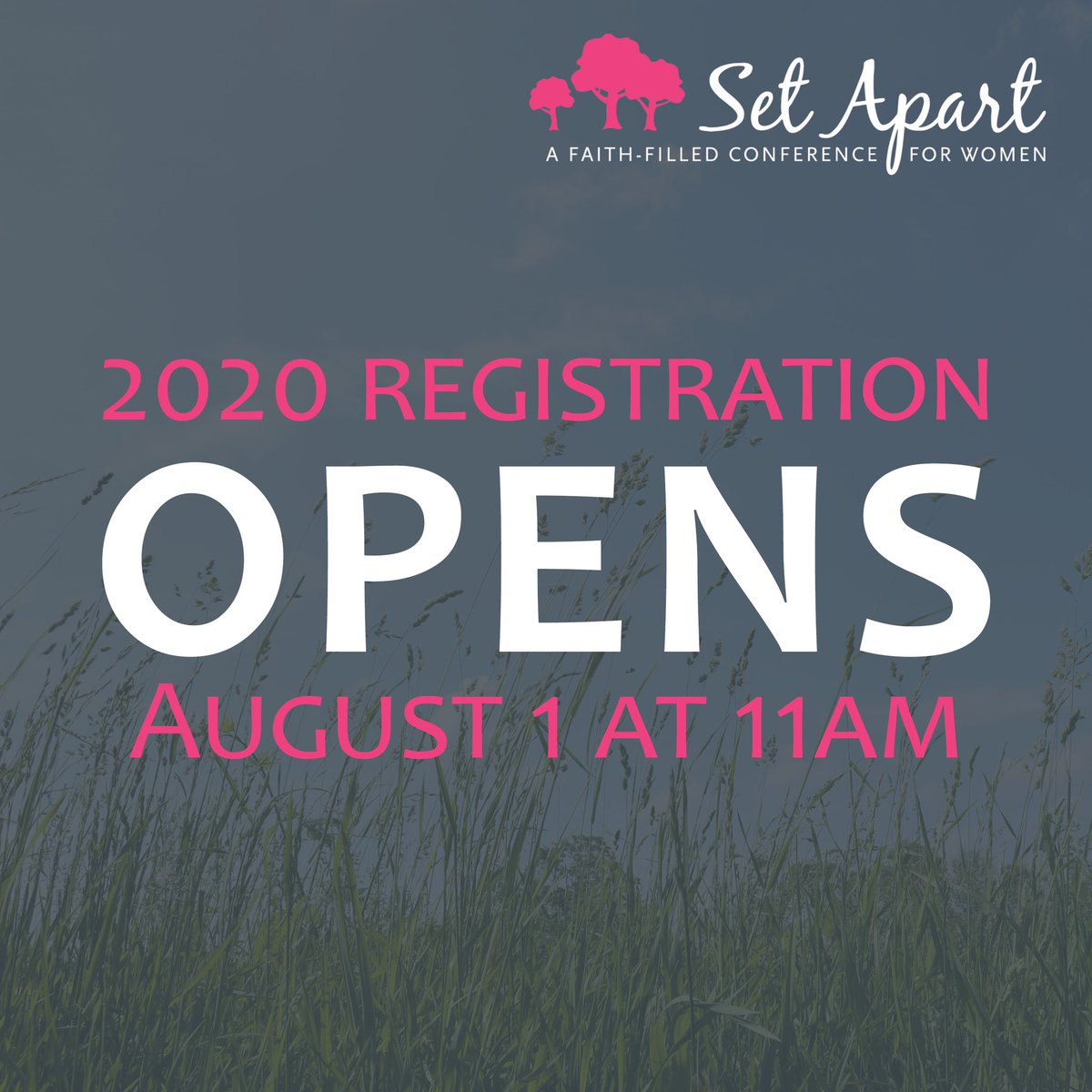 SetApartMN's tweet image. Registration opens tomorrow at 11am!