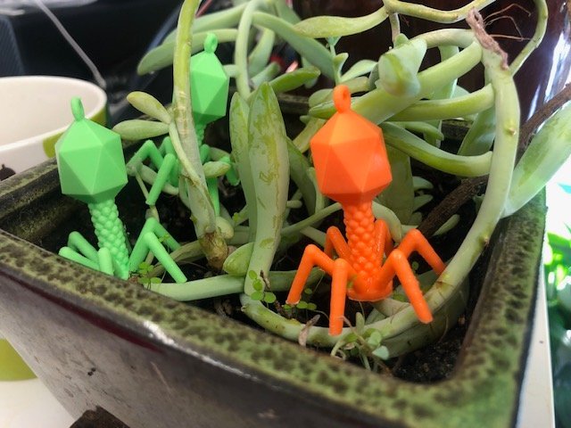 Heather Hendrickson tweet media