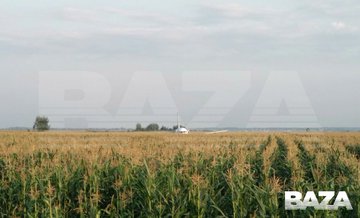 Посмотреть изображение в Твиттере