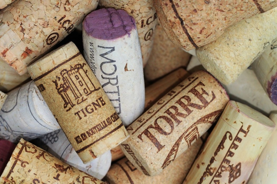 TequilaSpirits's tweet photo. Making wine memories
#tequilaspirits #wine #winelover #winetasting #winery #winetime #winelovers #wineoclock #wines #wineporn #winebar #wineglass #cocktailmaking #cocktailsnight #tequila #travel #Italy #french #paris #winecellar #winerylovers #Spain #Portugal #Austria https://t.co/IhbbWlKdrX