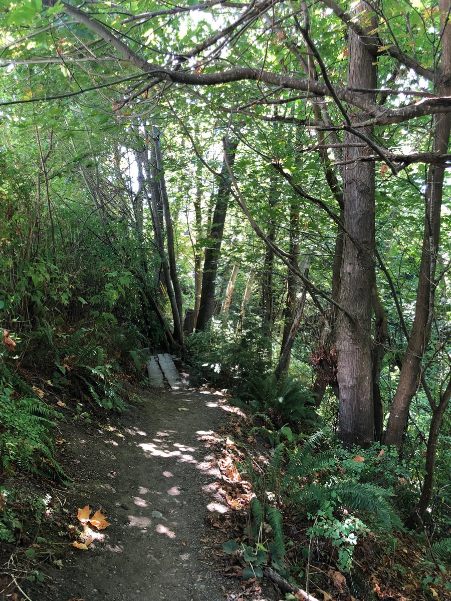 I had a tour of Forgotten Creek nature trail in the Port Gardner neighborhood. What a jewel in our city! Thanks for the tour, Bon! #UrbanGreenspace