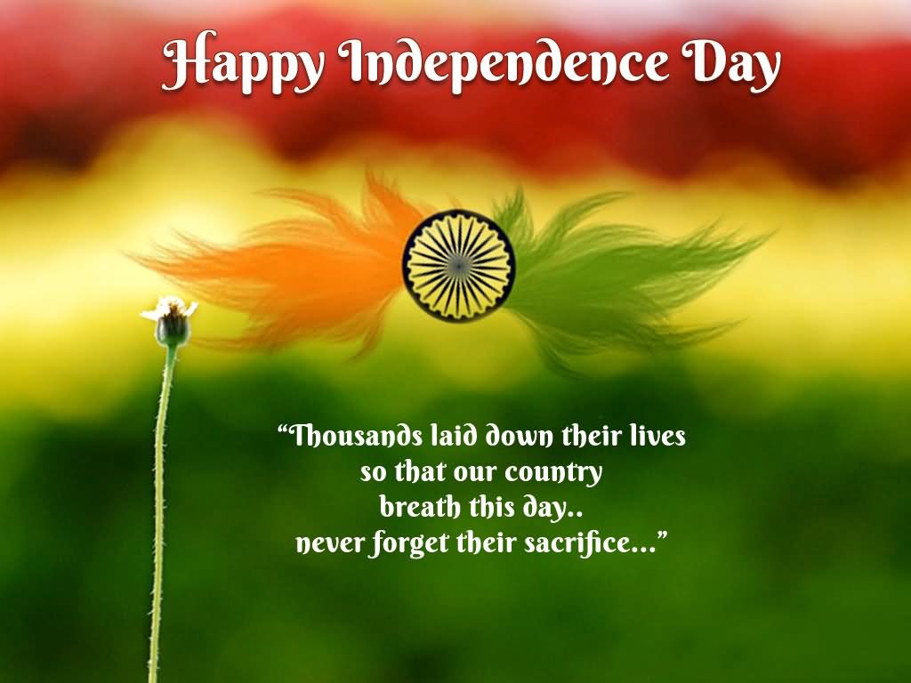 RasineDeepak's tweet photo. https://t.co/RsWdT375lh