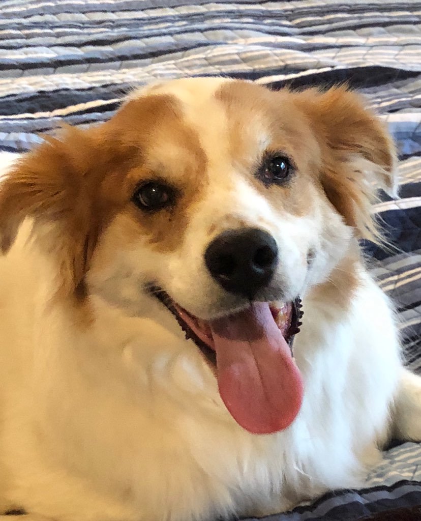 Cutco.com is back up and humming along! Thank you for your patience while we fixed the problem! We're all smiles now. 😀