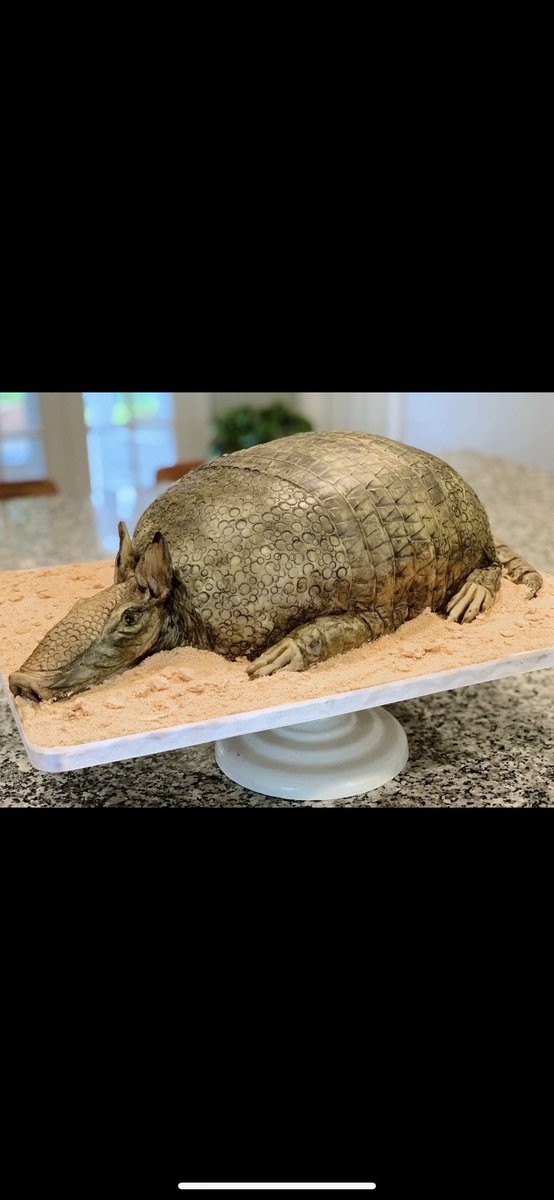 Here is my wife’s most recent cake. Was a Steel Mangolias (whatever that is) themed bridal shower with a red-velvet armadillo. It’s both ugly and beautiful. clevercakeskc.com #kcweddings #SteelMagnolias #edibleart