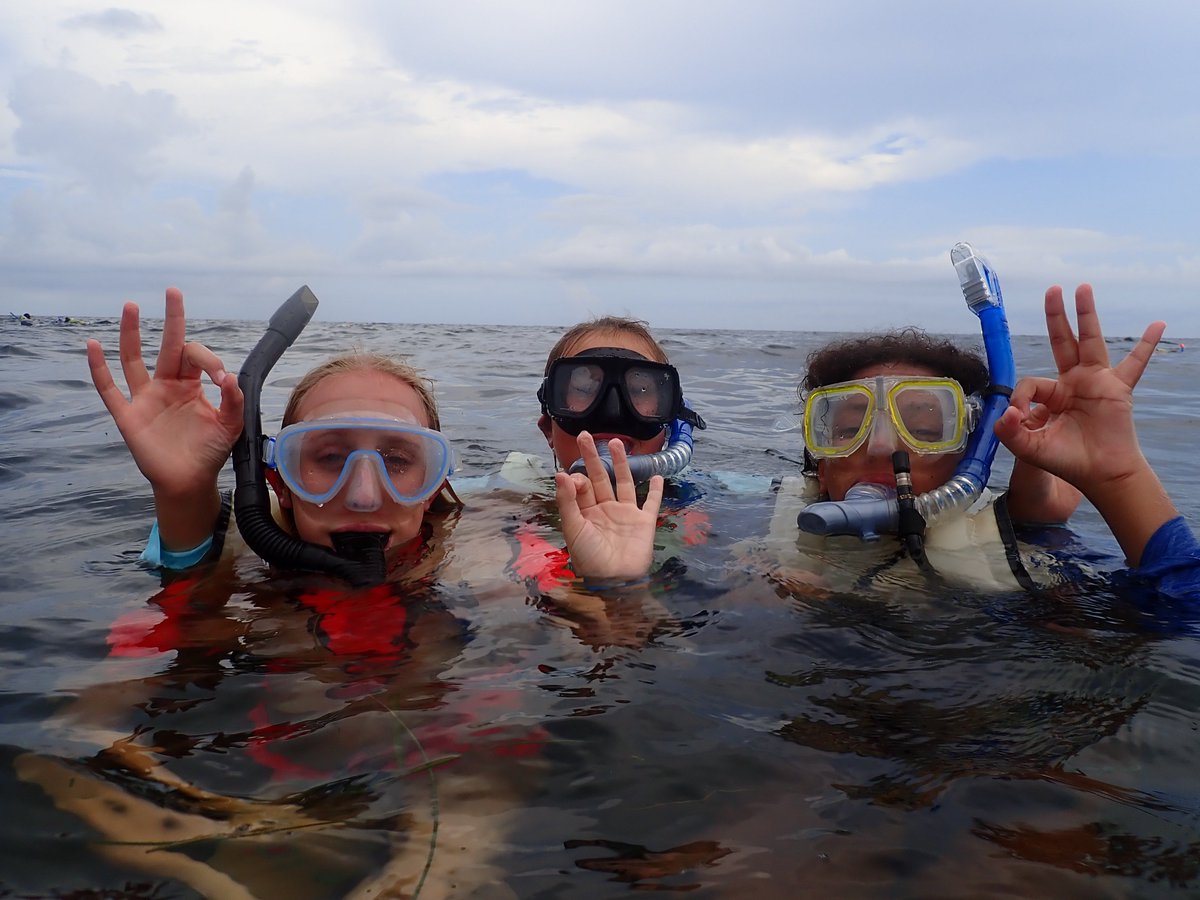 MSSCaptOlsen's tweet photo. We patiently rode the morning storms out on land &amp; were rewarded with a good day at sea! Academy of Environmental Science students snorkeling with green sea turtles in the Gulf of Mexico. @CitrusSchools @ScienceCitrus @MrLeonard8 #LetsRoll https://t.co/upK5TOLM2t