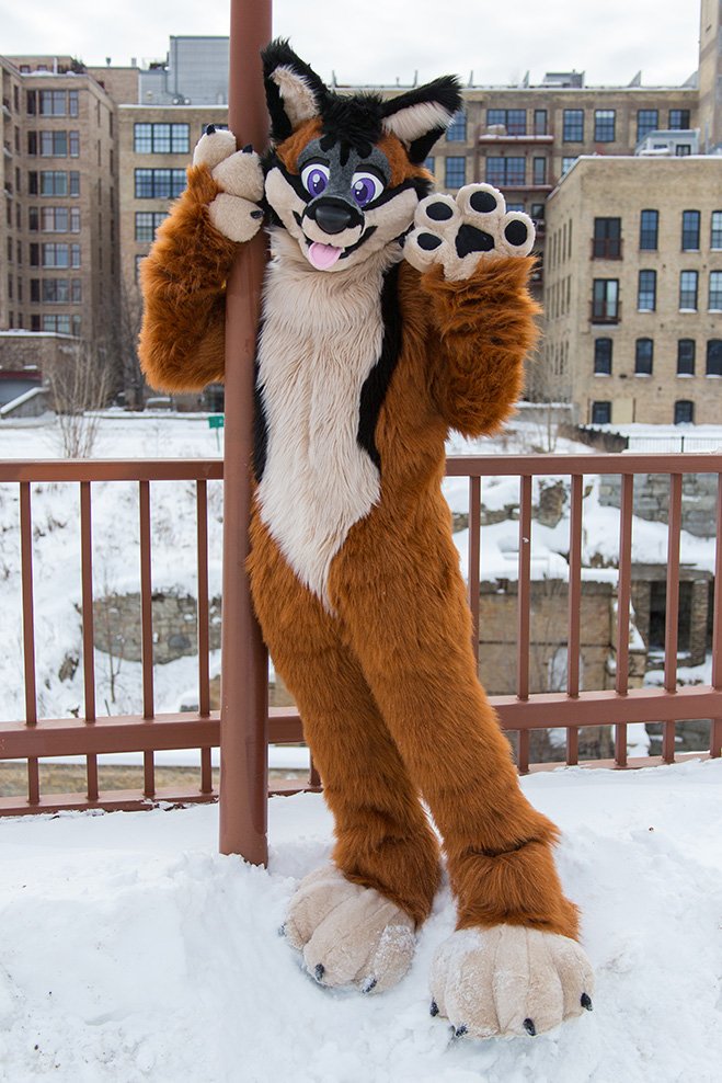 gobluerabbit's tweet photo. If you're interested in owning this 6 month old lightly used Fox Fullsuit - Fits someone about 5'8"-6' tall, 150-190 lbs, size 11-13 feet:

SEND 👏US 👏A 👏DM 👏WITH 👏YOUR 👏OFFER https://t.co/eemteKNOtt