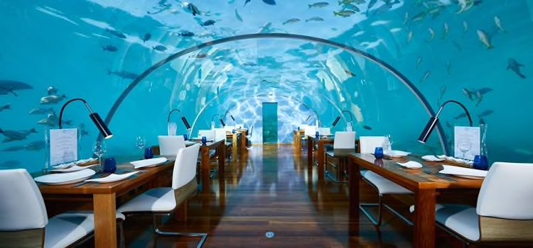 foodwinechickie's tweet photo. A4 I’d love to eat underwater at @ConradMaldives so cool! #foodtravelchat #ithaa https://t.co/uRXj9X1LIM